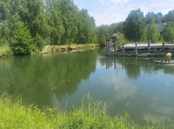 В Свердловской области в озере Балтым утонул мужчина