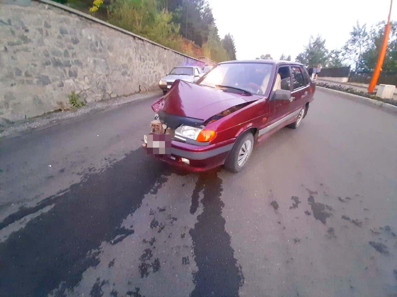 На Урале водитель пожизненно утративший право управления устроил ДТП