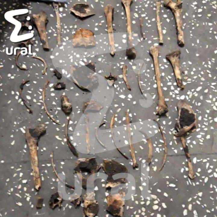 СМИ опубликовали фото останков девушки, убитой смолинским маньяком