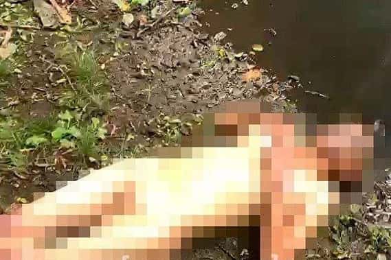 Установлена личность найденной в Исети женщины со стрижкой "под ноль"