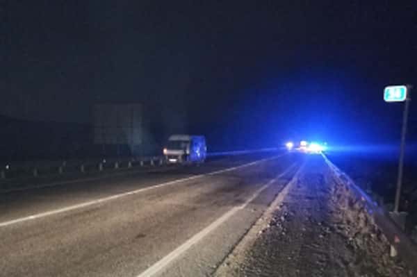 Под Екатеринбургом трое детей пострадали при наезде автомобиля на лося