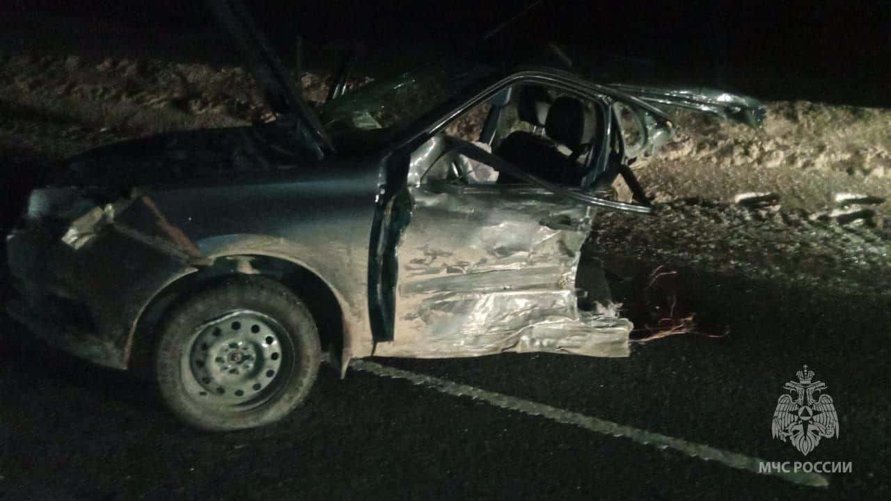 На устроившую смертельное ДТП многодетную свердловчанку завели дело 