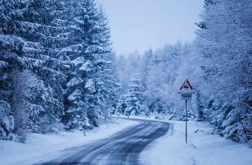 Пермяка судят за мошенничество с лесом 
