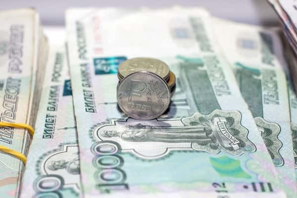 Жительница Прикамья придумала государству несуществующих детей