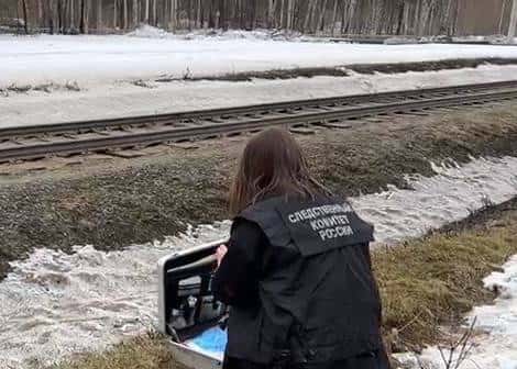 Под Екатеринбургом поезд насмерть сбил пожилую женщину 