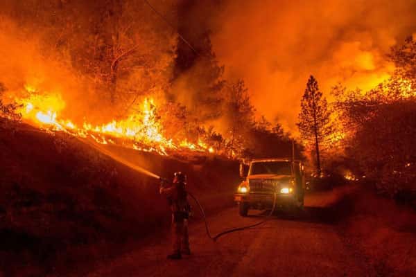 Свердловский губернатор обрушил гнев на мэров из-за плохой подготовки к лесным пожарам 
