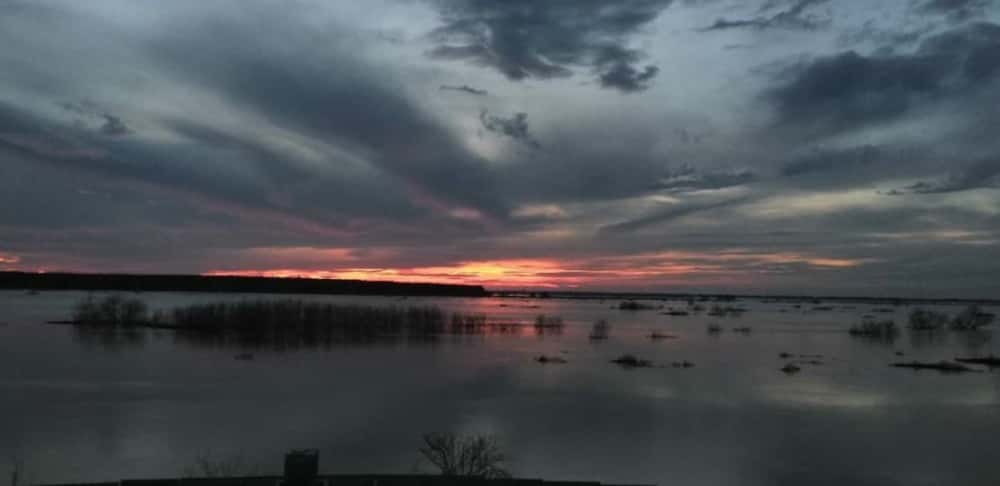 В Курганской области вода затопила 2090 домов и пять мостов 