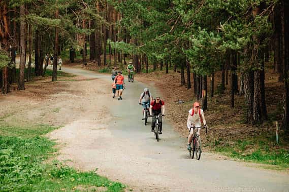 В окрестностях Сысерти для участников массовой оздоровительной прогулки подготовили пять маршрутов 