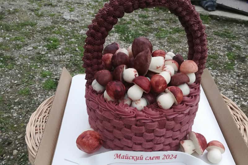 Майский слет и буйство сморчков: грибники радуются урожаю в свердловских лесах. Фото