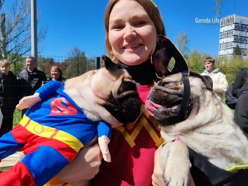 В Екатеринбурге устроили карнавал для мопсов. Невероятно ми-ми-мишный репортаж