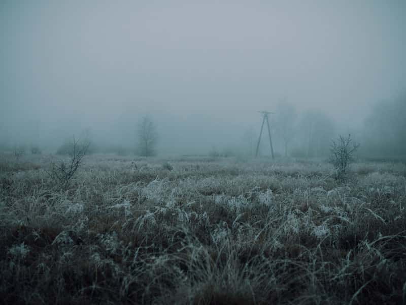 Минсельхоз анонсировал введение федерального ЧС из-за заморозков 