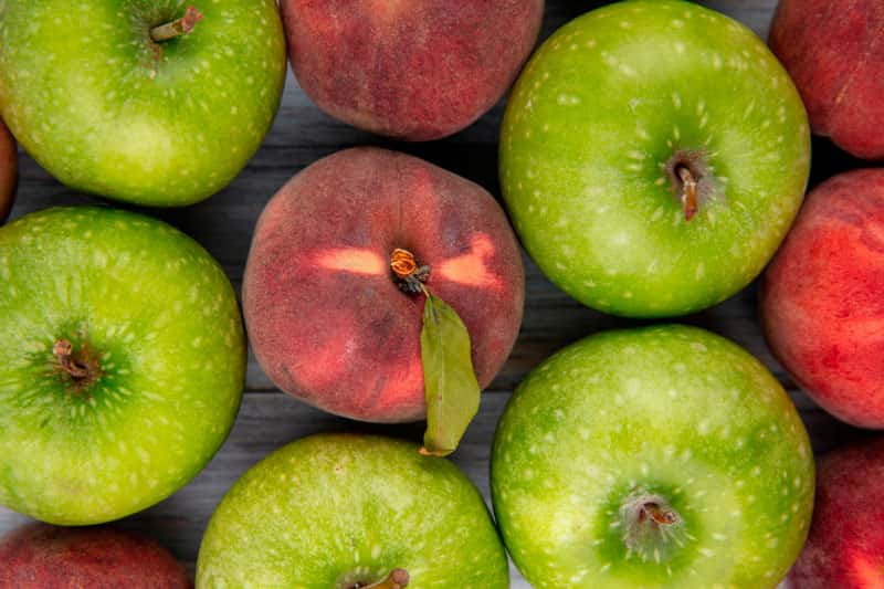 "Без яблок-то не останемся?" - Путин дал главе Минсельхоза важное поручение