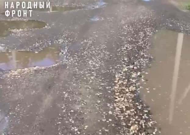 Восьмилетний челябинец попросил Путина сделать дорогу ради сестры 