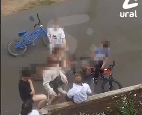 В Прикамье 12-летние девочки надавали оплеух девятилетнему забияке