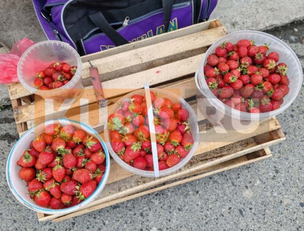 Стало известно, сколько ягод можно съедать без опаски 