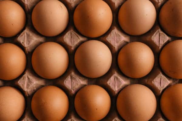 Специалист по питанию объяснила, какое белковое блюдо самое полезное 