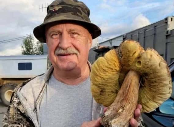 Возле Каменска-Уральского в лесу нашли необычный гриб 