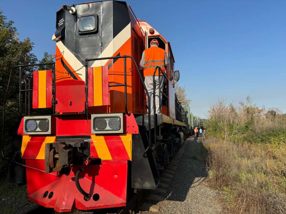 Под Челябинском грузовой поезд задавил девочку-подростка 