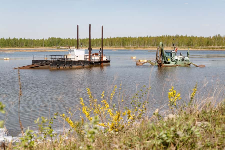 Здохне побещали новую жизнь