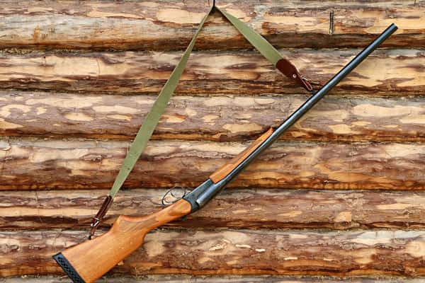 Житель Екатеринбурга получил судимость за охоту на косуль 