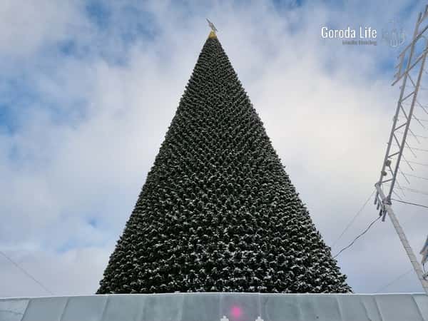 Без справки из больницы — эксперты назвали способы встретить Новый год безопасно и весело