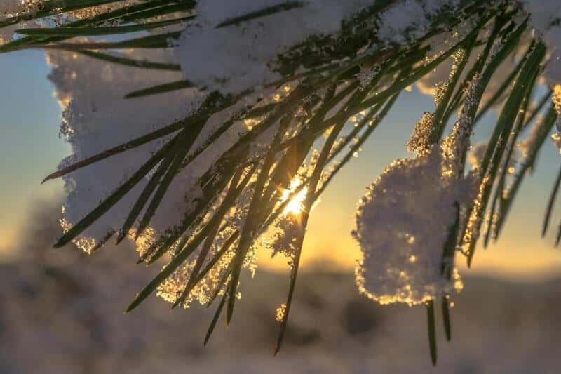 В Свердловской области оказалось теплее, чем 81 год назад 