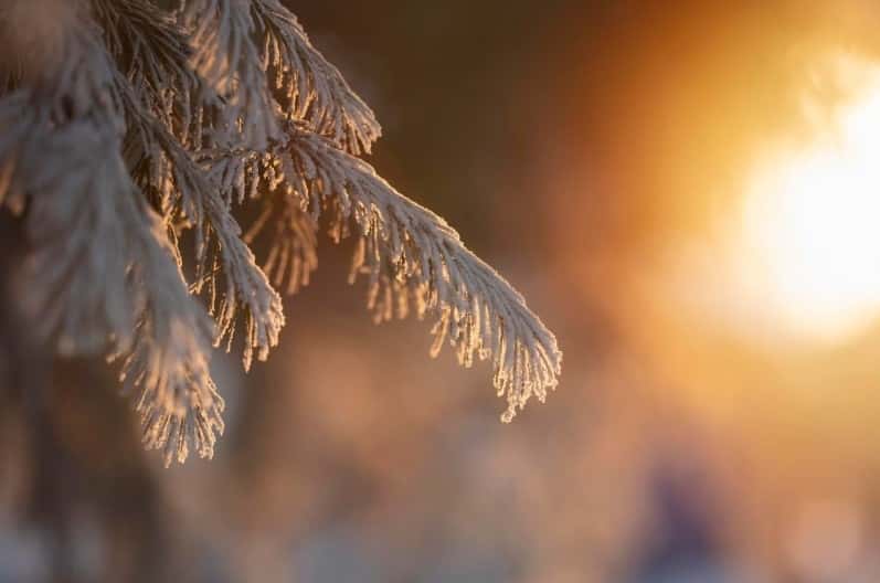 В выходные в Свердловской области может потеплеть