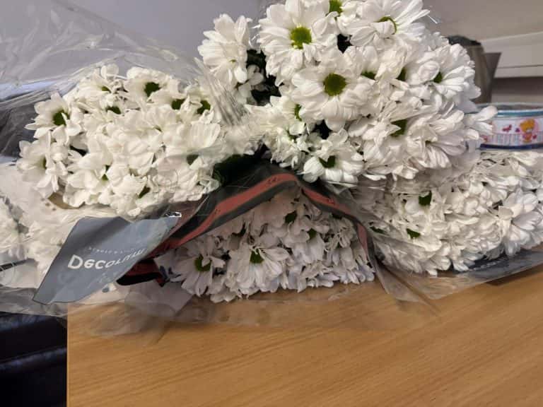 В Свердловской области сожгли 260 заражённых хризантем