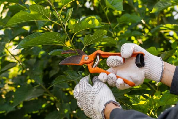 Первоуральских садоводов ограничили строительным забором 