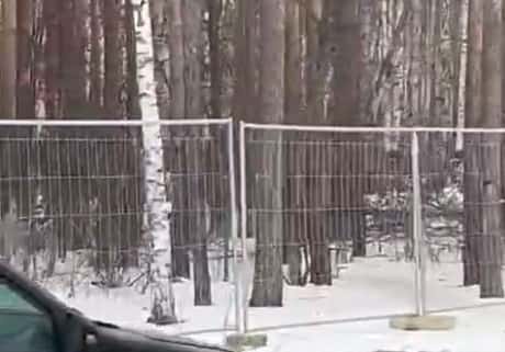 «Предельно открыто и честно» — защитники Берёзовой рощи встретились с мэром Екатеринбурга 