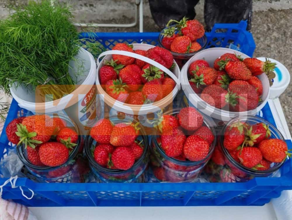 В Свердловскую область прибыла крупная партия турецкой клубники