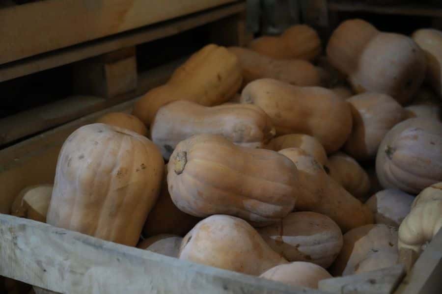 Свердловчане смогут покупать овощи и фрукты из Киргизии