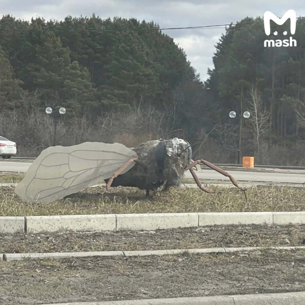 Тюменцы переругались из-за скульптуры пчеломухи с тараканьими лапками 