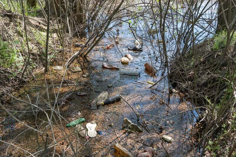 На Урале ребёнок заболел церкариозом после купания в водоёме санатория 