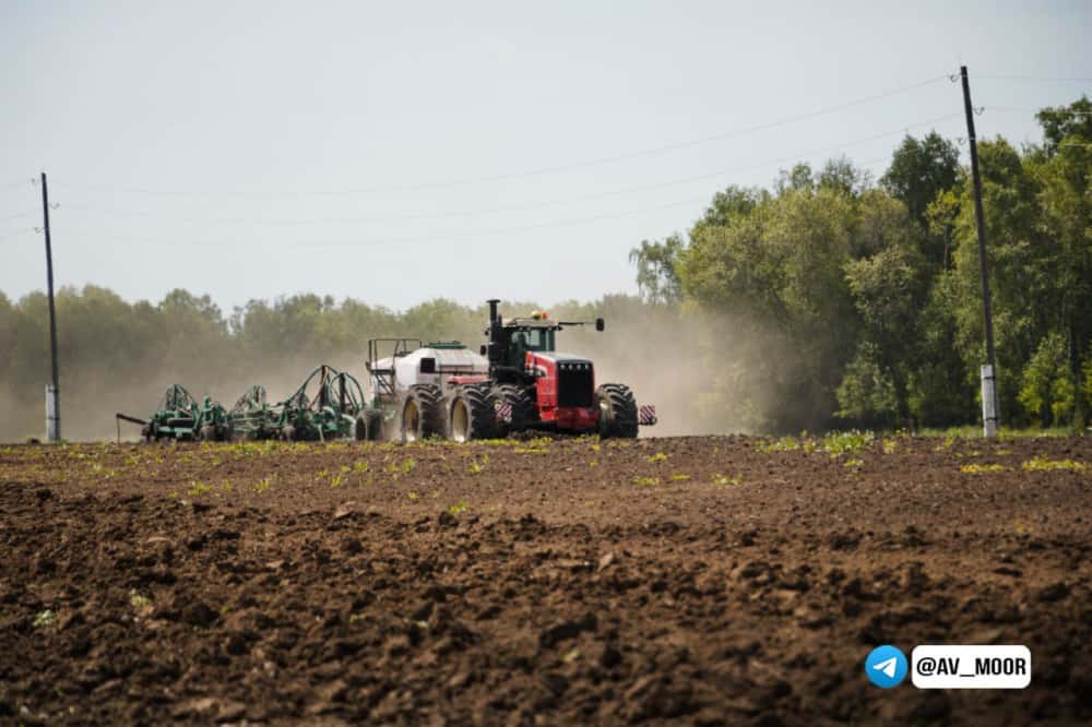 В Тюменской области завершилась посевная кампания 