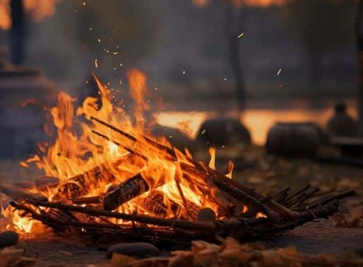 В Тюменской области отменяют запрет на посещение лесов 