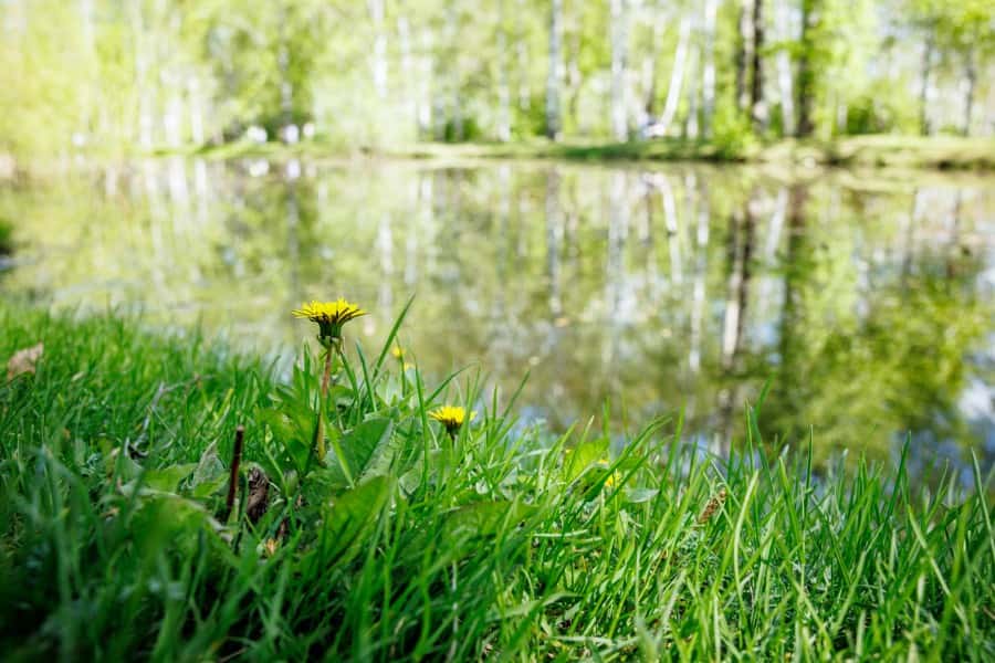В Екатеринбурге начали благоустраивать парк 50-летия ВЛКСМ 