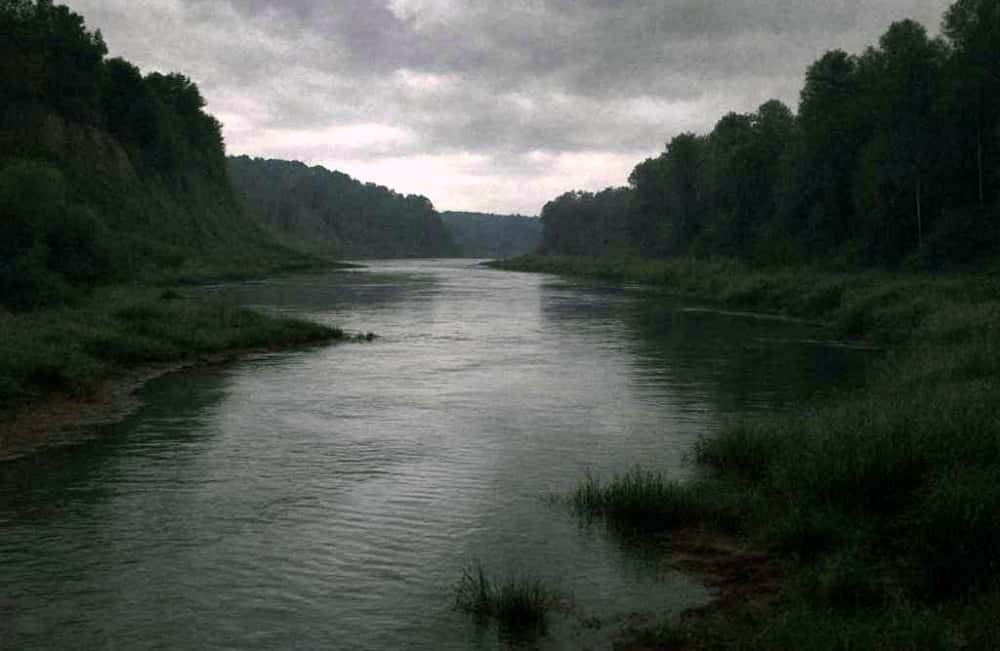 Нашли в камышах — девочка утонула в Челябинской области 
