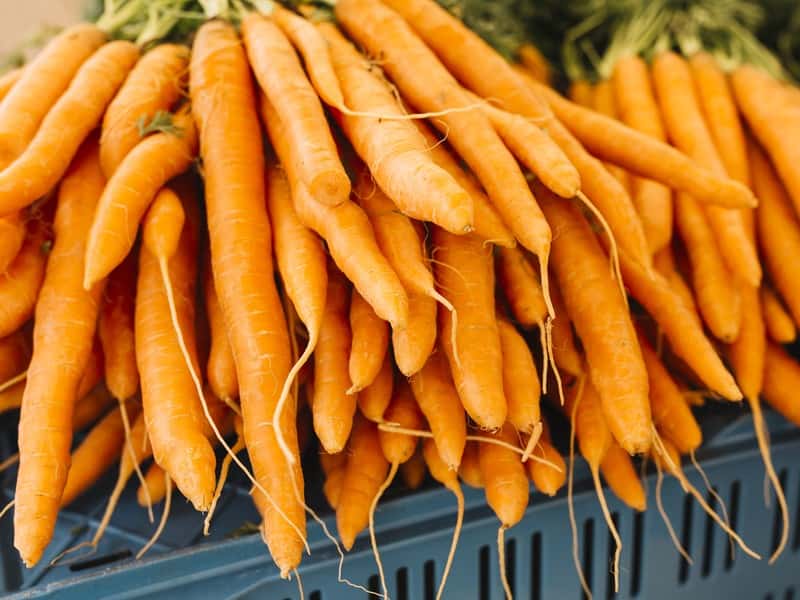 Морковь резко подорожала в России за неделю