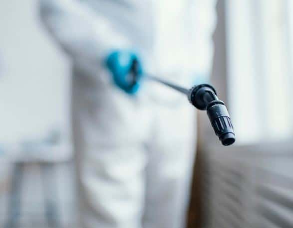 Болеют меньше — в Геленджике стало безопаснее отдыхать 