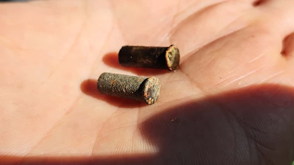 На перевале Дятлова нашли гильзы от винтовки: что это значит для разгадки трагедии