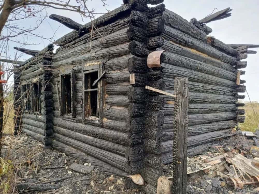 Мужчина погиб при пожаре в курганском селе 