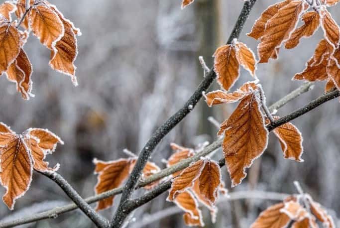 В Свердловской области похолодает до -10 градусов 