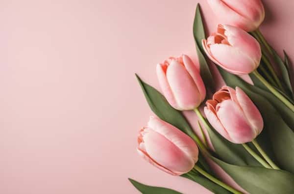 В Ревде 30 октября простятся с Кирой и Аней, сбитыми водителем-наркоманом 