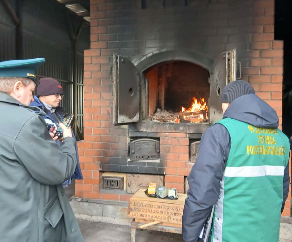 В Челябинске сожгли сыр производства Голландии и Германии 