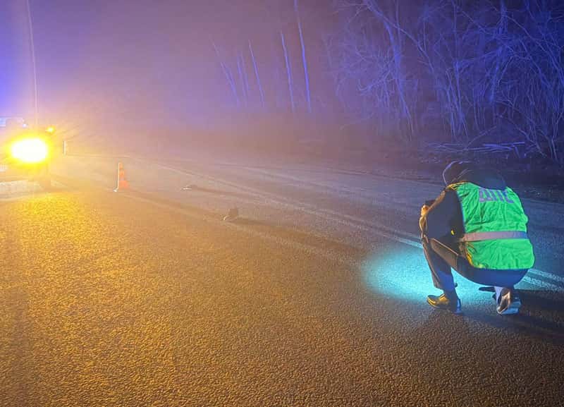 Смертельное ДТП в Полевском районе: пешеход погиб ночью