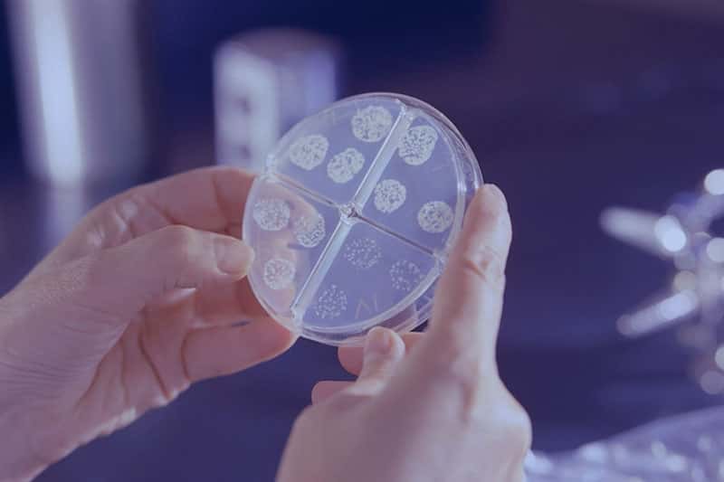 Уральцев предупреждают: антибиотики – только по назначению врача!