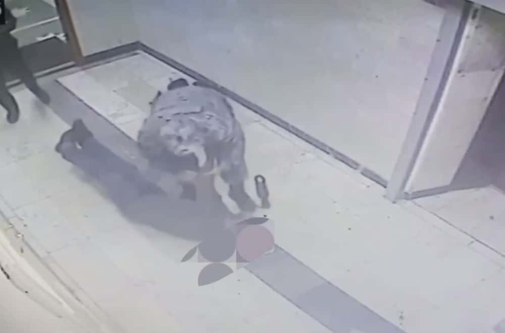 В екатеринбургском суде приставы спасли посетителя, у которого случился приступ