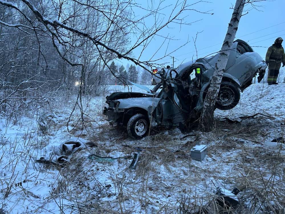 Обгон на трассе привёл к смертельному ДТП в Тюменской области