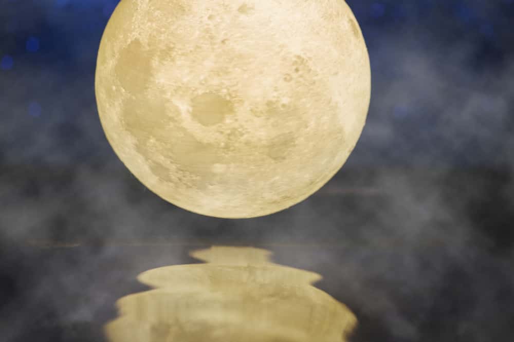 Луна закроет Плеяды в новогоднюю ночь — редкое небесное явление в России